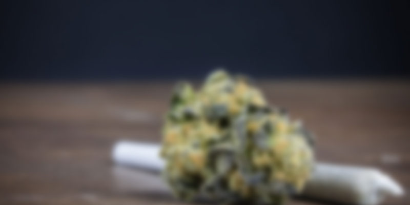 https://www.morcannabis.us/wp-content/uploads/2019/04/08-1-800x400.jpg