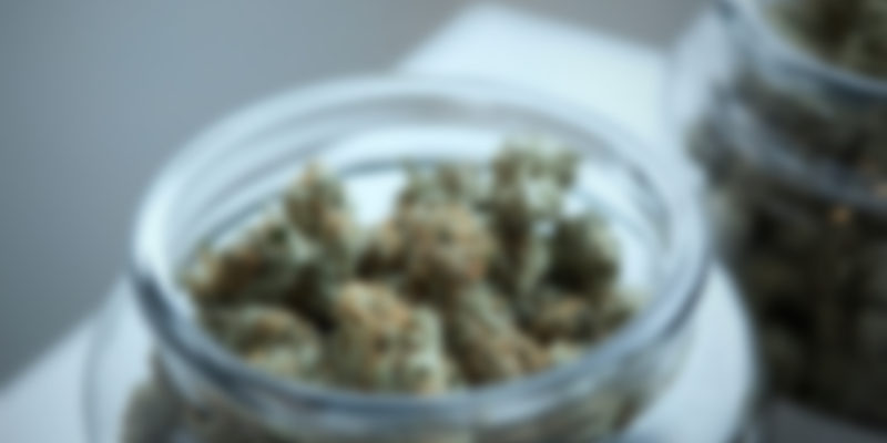 https://www.morcannabis.us/wp-content/uploads/2020/04/img_canimed_10-800x400.jpg